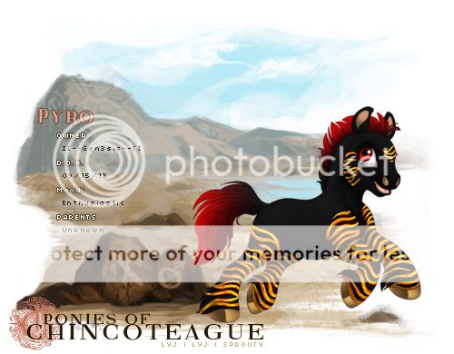 User Image